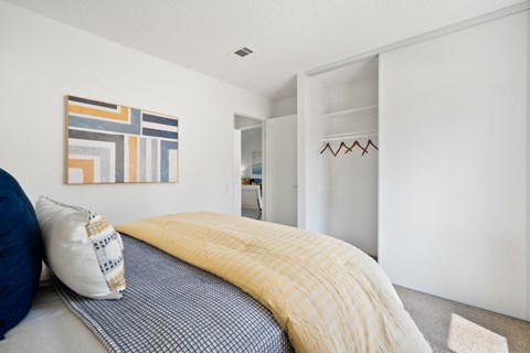 a bedroom with a bed and a closet