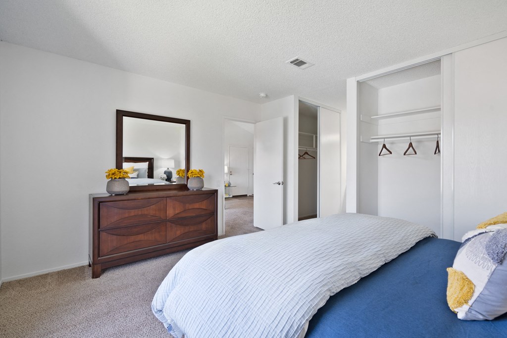 a bedroom with a bed and a dresser and a closet