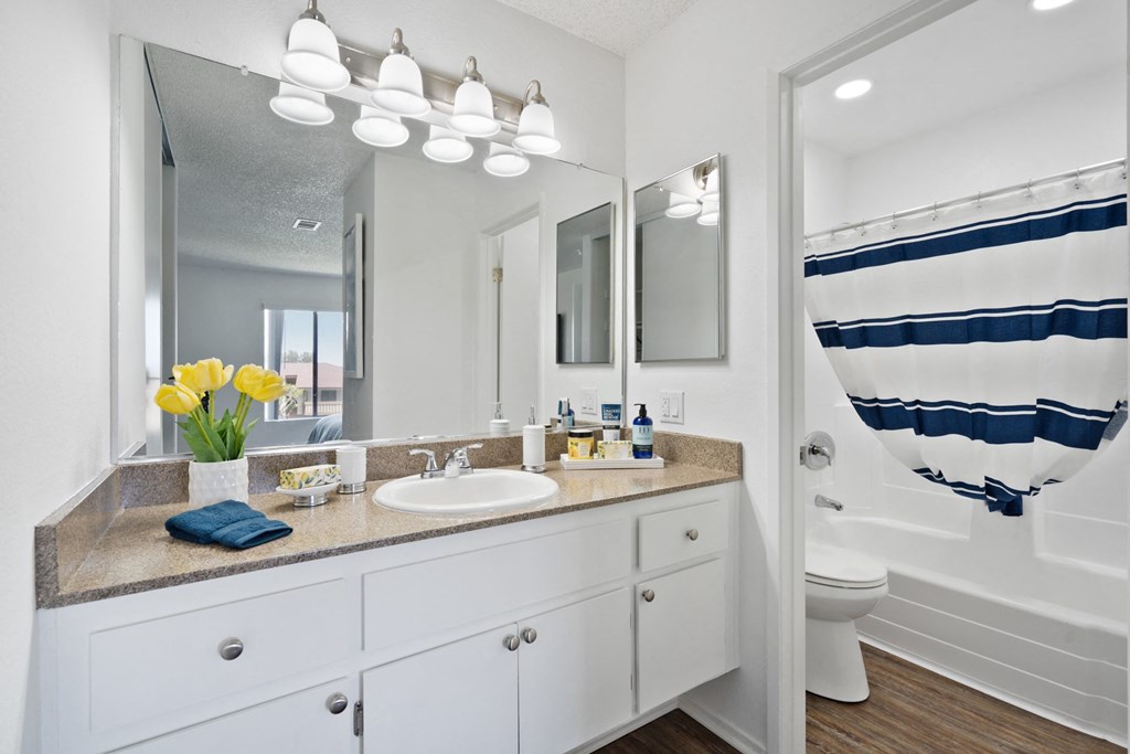 a bathroom with a sink and a shower and a mirror