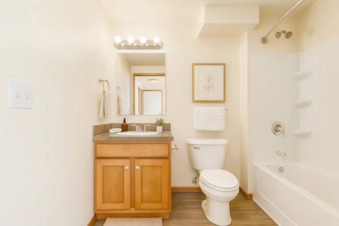 A white toilet sits next to a sink in a bathroom.