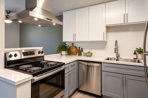 A modern kitchen with a stainless steel dishwasher and oven.