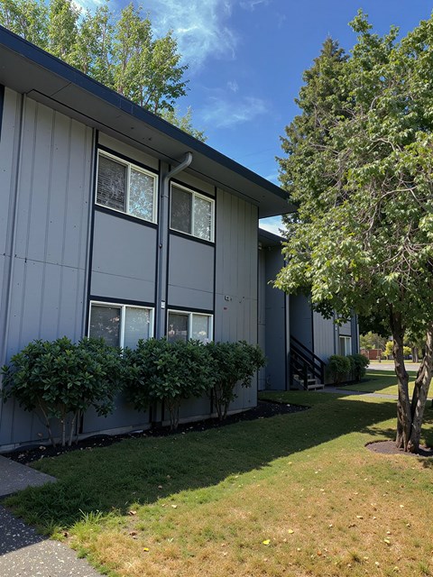 A grey building with a tree in front.