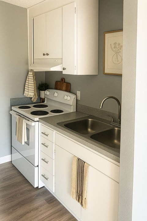 1411 S Union 1-3 Beds Apartment for Rent