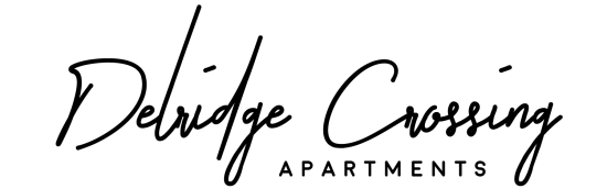 A black screen with a white border.