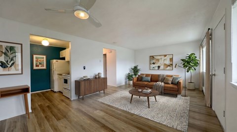 A living room with a brown sofa and a white rug.