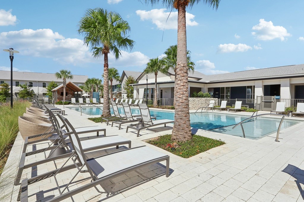 A pool area with sun loungers and palm trees.