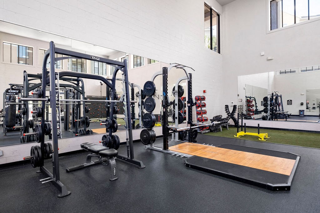 the gym in the owners home