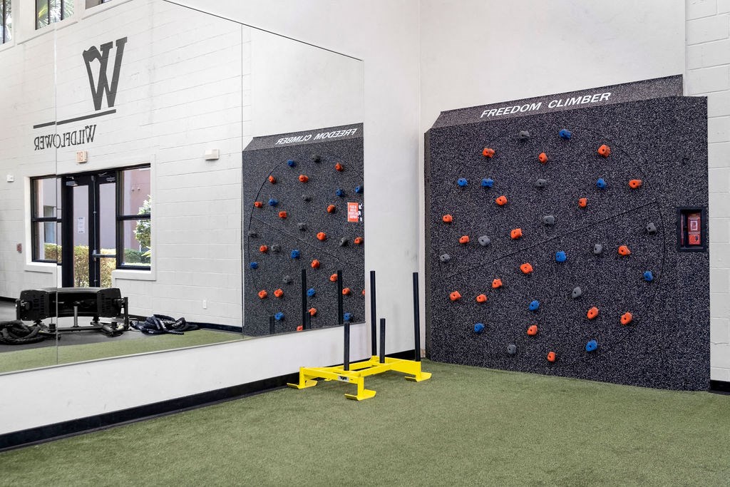 a large wall of exercise equipment in a room with grass
