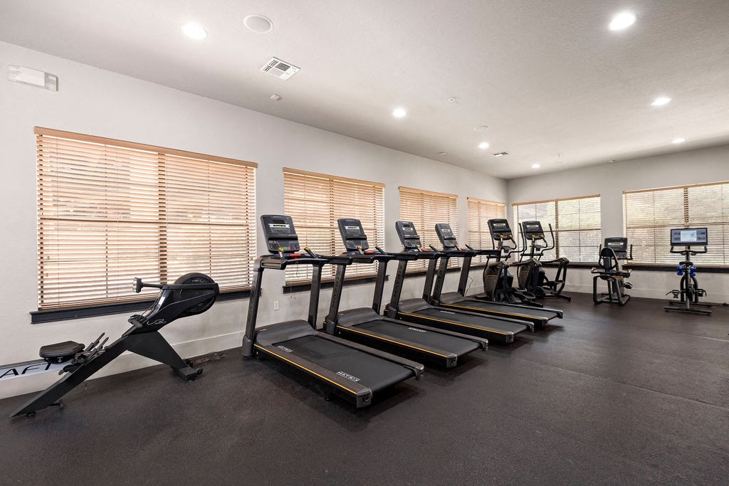 the gym is equipped with cardio equipment and weights