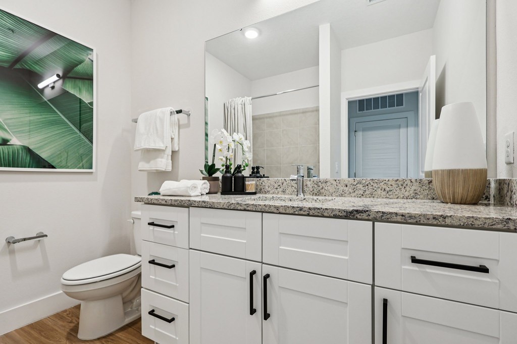 A bathroom with a toilet, sink, and a mirror.