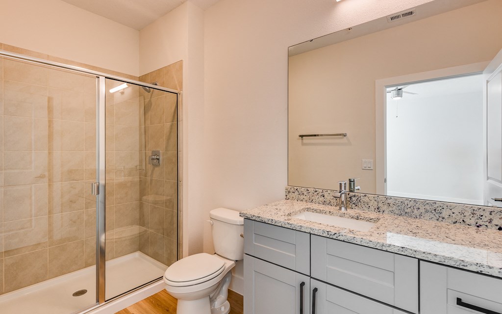 a bathroom with a shower toilet and sink and a mirror