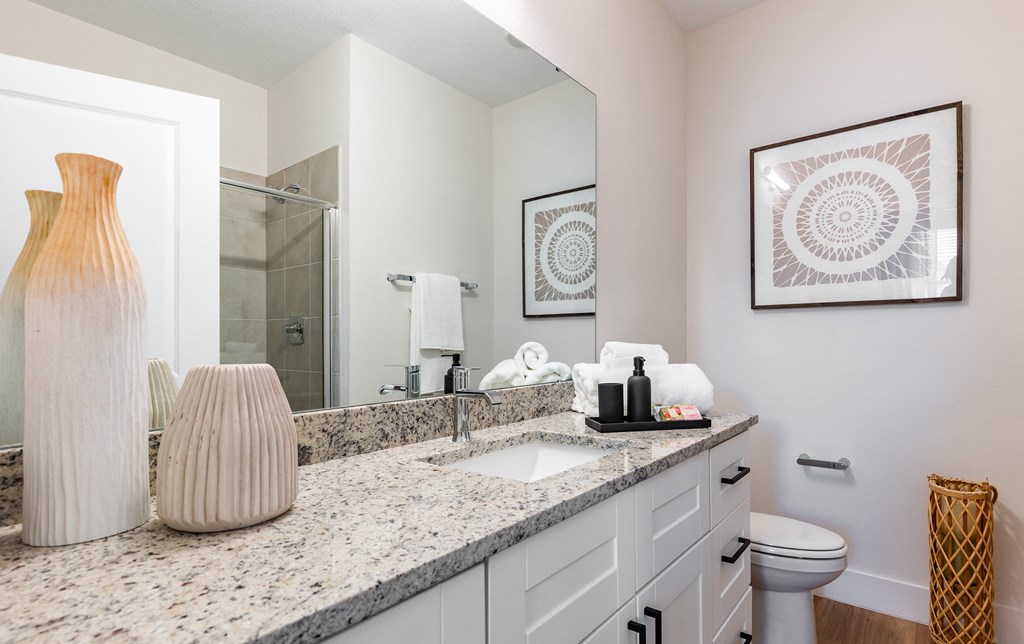 a bathroom with a sink and a mirror and a toilet