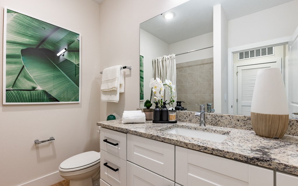 a bathroom with a sink and a toilet and a mirror
