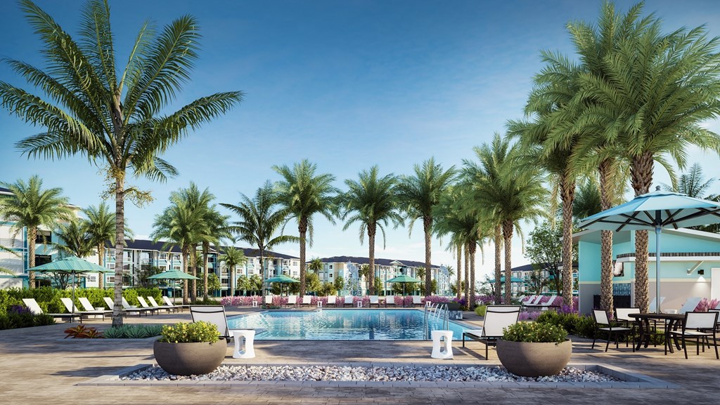 a swimming pool with palm trees and chairs around it