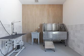 a kitchen with a sink and a stainless steel refrigerator