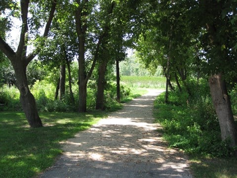 A pathway is lined with trees on both sides.