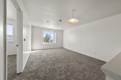 A spacious room with carpeted floor and a window.