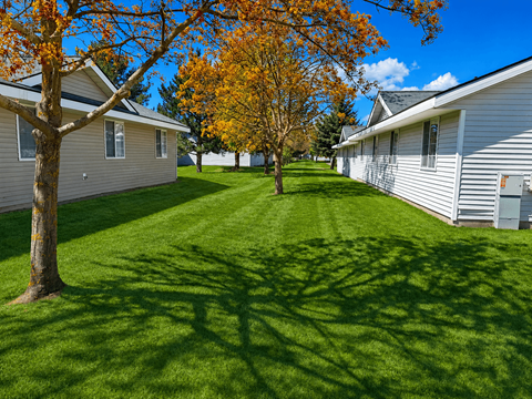 111 S Tschirley Rd 1-2 Beds Apartment for Rent