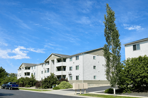 A large white building with a tree in front of it.