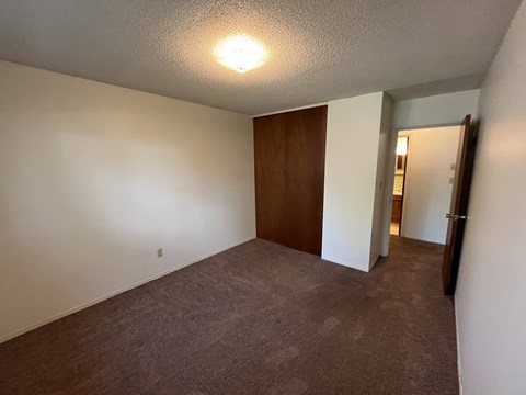 A room with a brown door and carpeted floor.