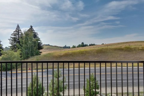 A road with a metal fence in front of a tree and a grassy field.