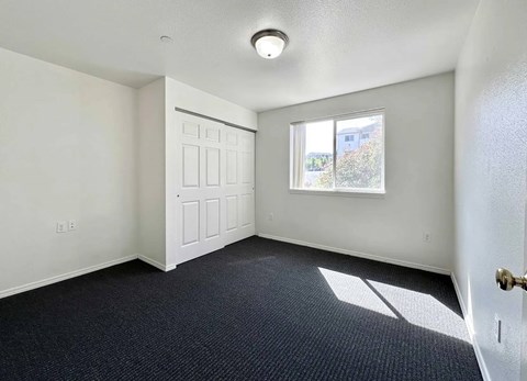 A room with a carpeted floor, a window, and a door.