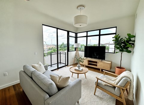 A living room with a grey couch, a wooden chair, a coffee table, a TV, and a potted plant.