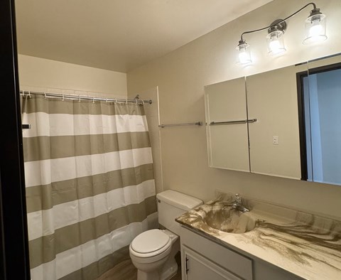 A bathroom with a toilet, sink, and shower curtain.