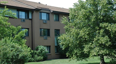 A brown building with a green tree in front.
