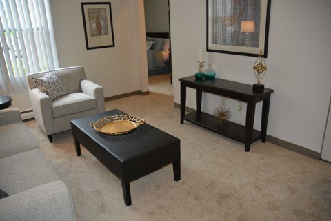 A living room with a grey chair, a black coffee table and a black console table with a gold bowl on it.