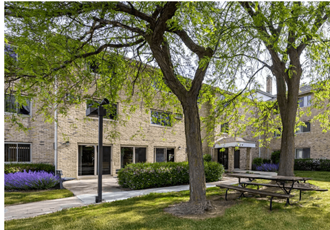 A tree with green leaves stands in front of a building.