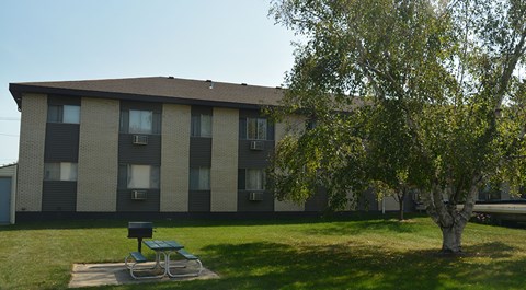 A tree is in front of a building.