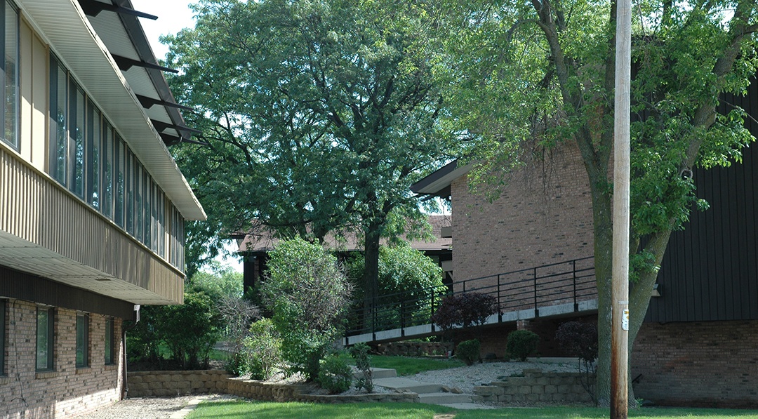 A tree in front of a building with a stone wall.