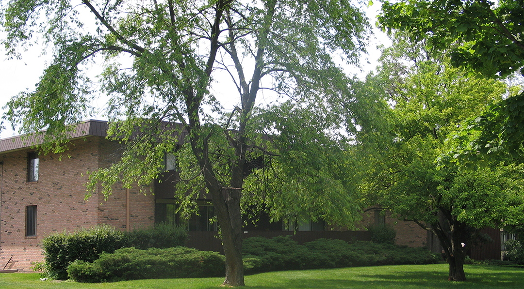 A tree in front of a building with a lawn in the foreground.