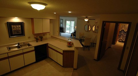 A kitchen with a sink and a counter.