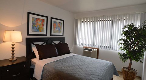 A bedroom with a bed, a lamp, a plant, and two pictures on the wall.