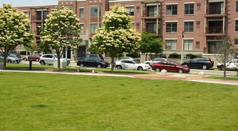 A grassy area in front of apartment buildings with cars parked in the background.