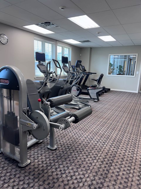 A gym with a row of treadmills and elliptical machines.