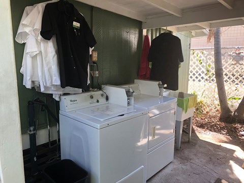 A white washing machine is in a small room with clothes hanging on the wall.
