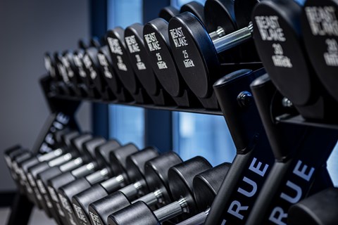 A row of True Value branded dumbbells are lined up on a rack.