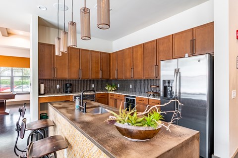 a kitchen with wooden cabinets and a counter top with a potted plant