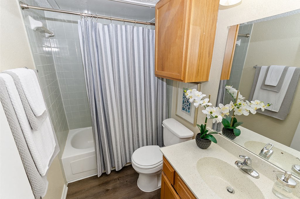 Hilton Head Apartments Bathroom