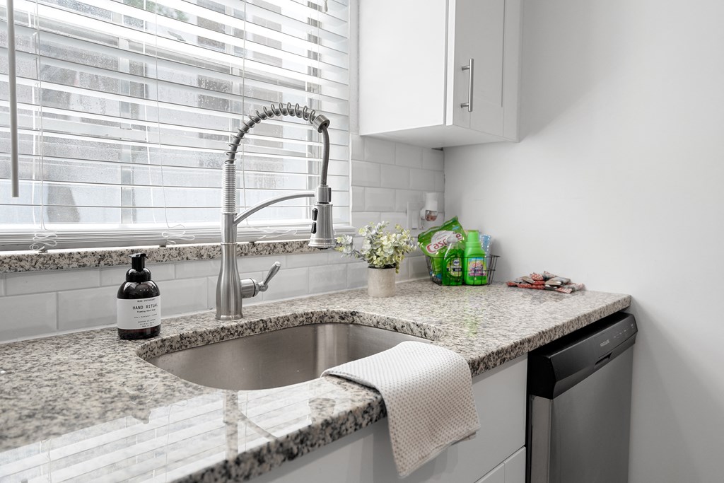 a kitchen with a sink and dishwasher in a 555 waverly unit