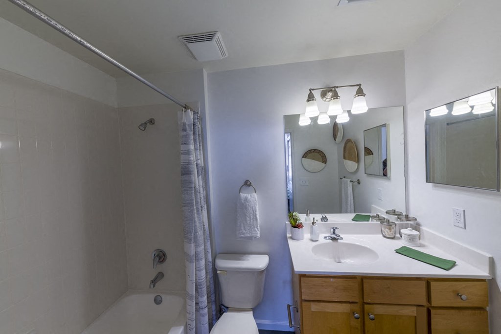 11 East Apartments | Downtown Jacksonville, FL