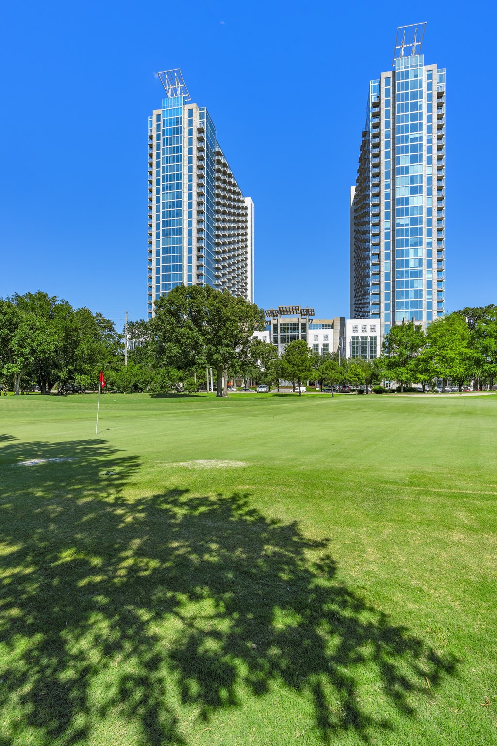 City park with lush greenery and modern skyscrapers in the distance in Houston, TX