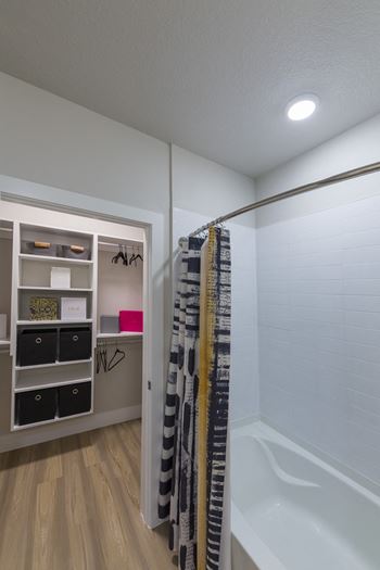 Primary Bathroom and Walk-in Closet