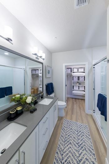 Primary Bath and Custom Closet