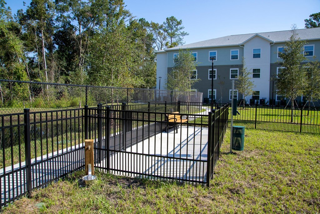 Jacksonville, FL| Melissa Grove | Dog Park