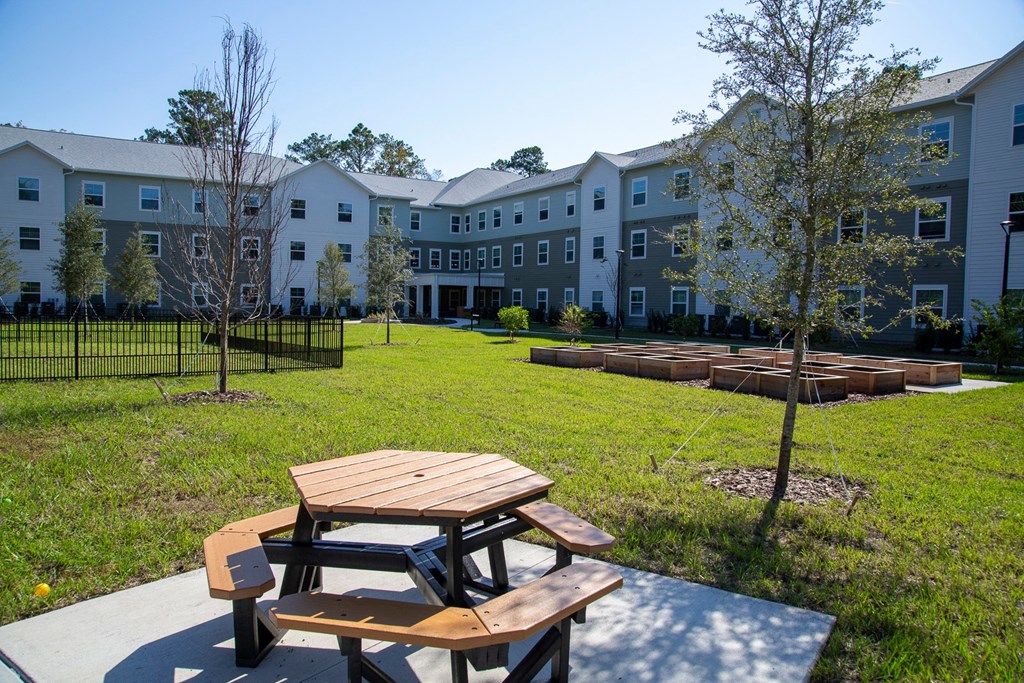 Jacksonville, FL| Melissa Grove | Picnic Area