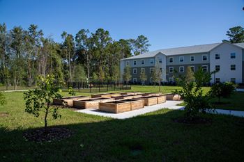 Jacksonville, FL| Melissa Grove | Garden